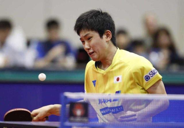 高搜索量关 高搜索量关